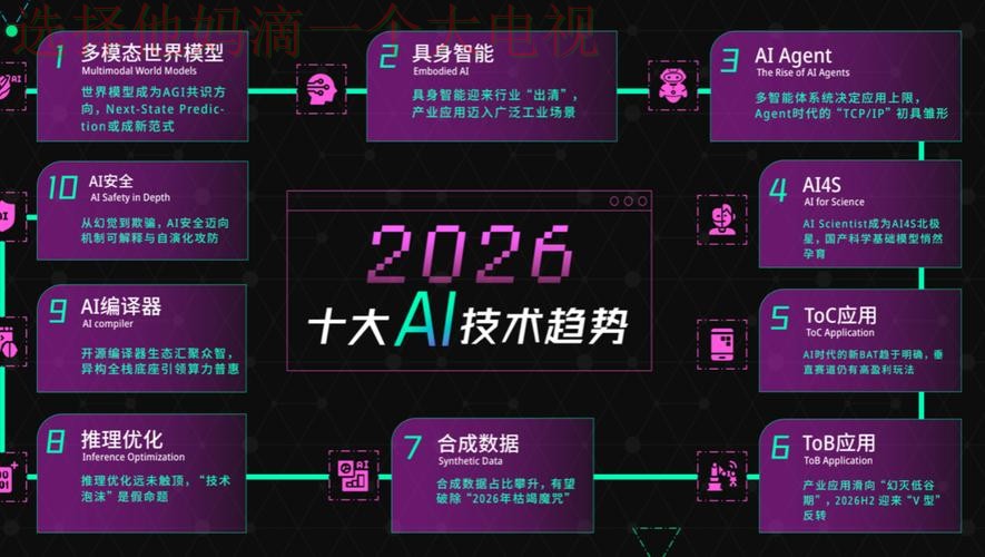 IM体育科技控股未来发展解析